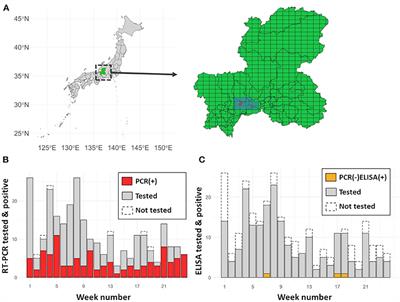 Estimation of the Lethality Rate, Recovery Rate, and Case Fatality Ratio of Classical Swine Fever in Japanese Wild Boar: An Analysis of the Epidemics From September 2018 to March 2019